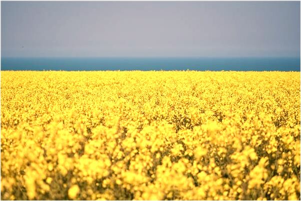夢到了床上都是血意味著什麼_周公解夢官網