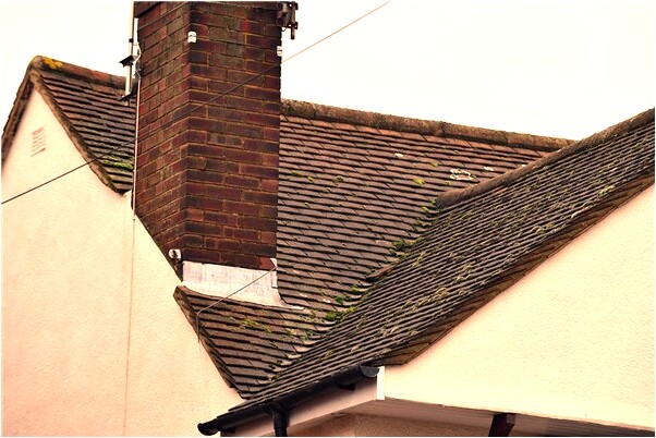 夢見夢菜窖里有很多胡蘿蔔是什麼意思_周公解夢官網