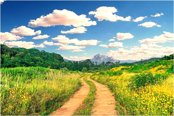 夢到了筆記本的電腦壞了怎么樣_周公解夢官網