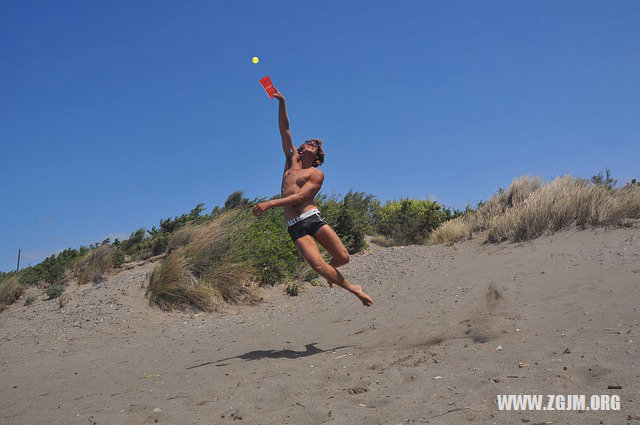 夢見樹上結滿桃子_周公解夢夢到樹上結滿桃子是什麼意思_做夢夢見樹上結滿桃子好不好_周公解夢官網