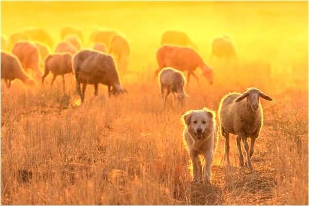 夢見有女孩使勁掐我大腿是吉兆嗎?_周公解夢官網