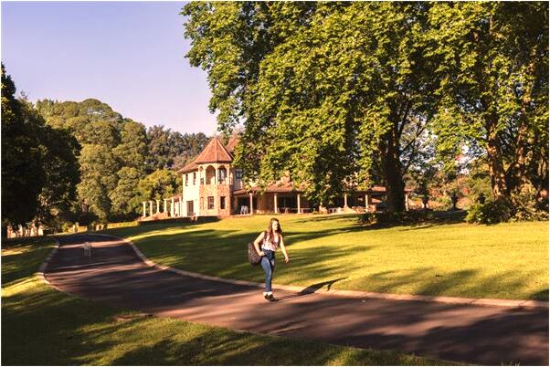 夢到了蟲子爬身上往下打他還怕意味什麼_周公解夢官網