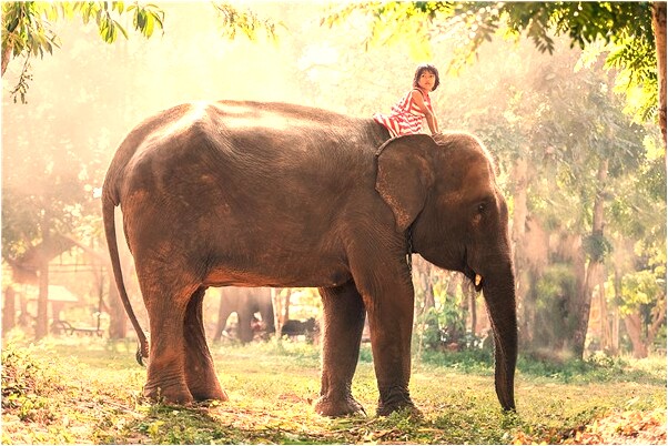 夢到了綠玉石雕龍好多是什麼徵兆_周公解夢官網
