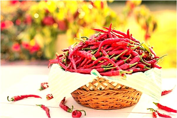 夢到別人生魚有何寓意_周公解夢官網