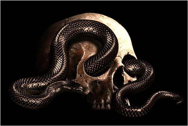 夢到了被小孩拉了一嘴屎是咋回事_周公解夢官網