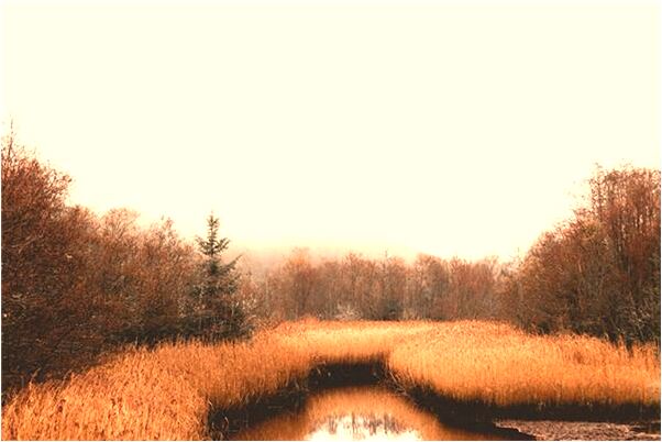 夢到背包獨行有什麼寓意嗎_周公解夢官網