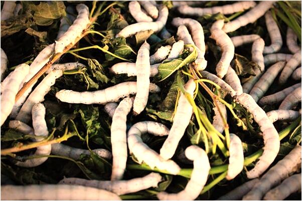 夢到我見到一個多用途的地洞是啥預兆_周公解夢官網