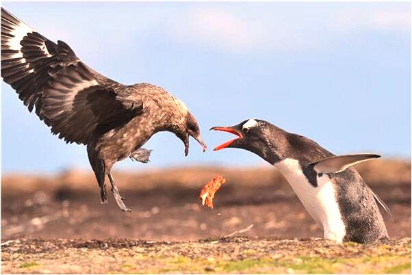 夢到了涓嬭藩是啥意思_周公解夢官網