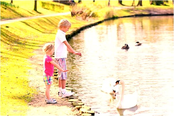 夢到了已退休的領導參加研究幹部有什麼意思_周公解夢官網