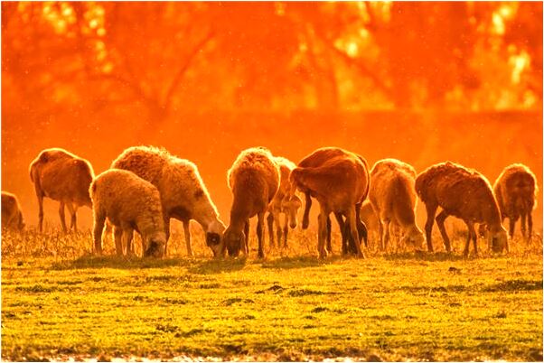 夢到了前男友背叛代表什麼_周公解夢官網