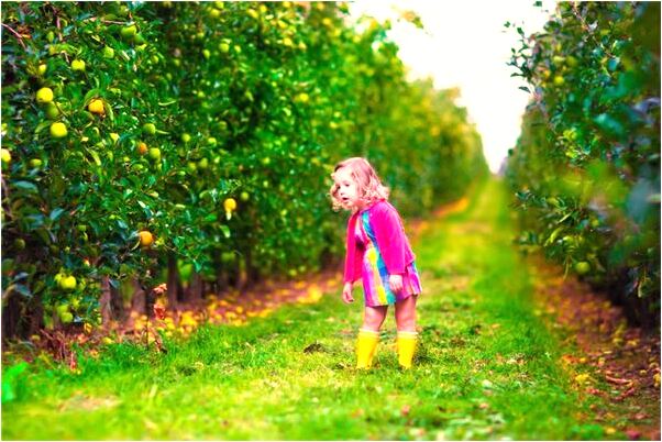 夢到了跟一幫人走是不是好的徵兆呢_周公解夢官網