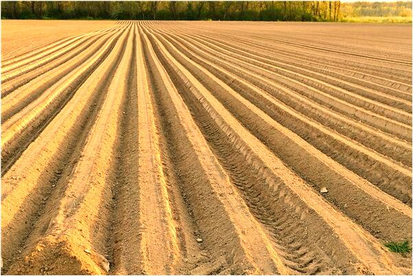 夢見手機丟了在銀行找到意味什麼_周公解夢官網