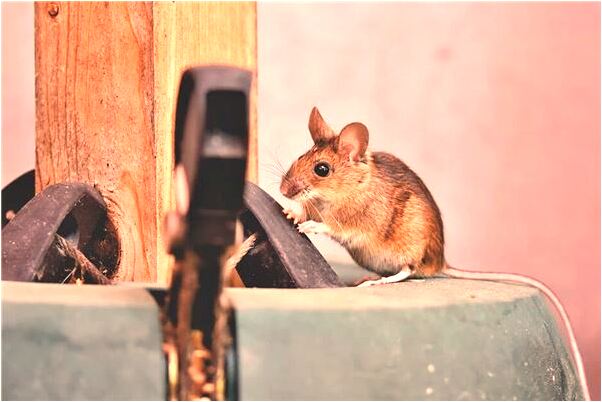 夢見大街上裸體有什麼預兆_周公解夢官網