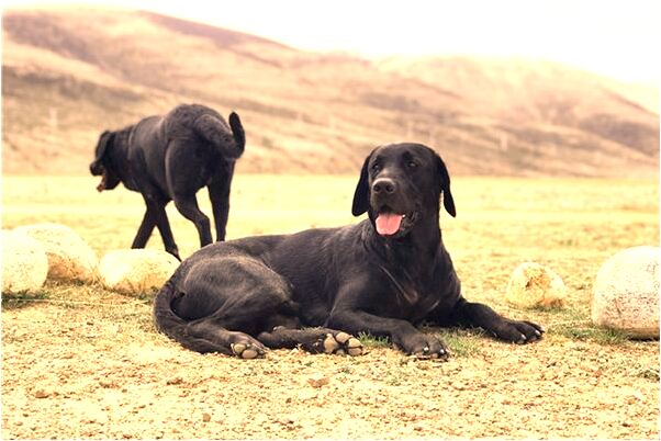 夢到和很多人打架的預兆_周公解夢官網