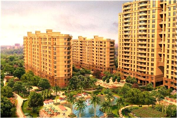 夢見船上觀星是什麼預兆？_周公解夢官網