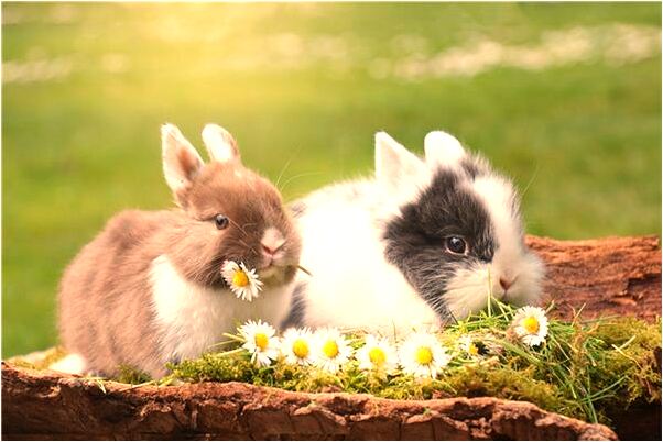 夢到了和別人去殺鬼有什麼預兆_周公解夢官網