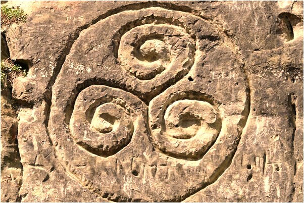 夢到了發霉芭樂預示了什麼_周公解夢官網