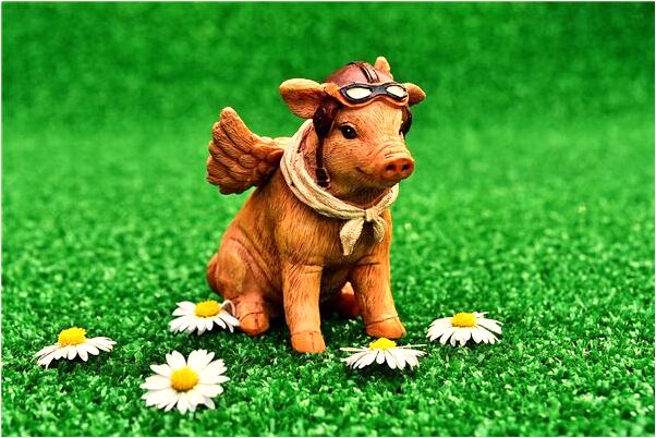 夢見自己帶回族帽子代表什麼_周公解夢官網