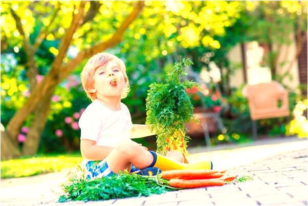 夢到了很多袋大米預示了什麼_周公解夢官網