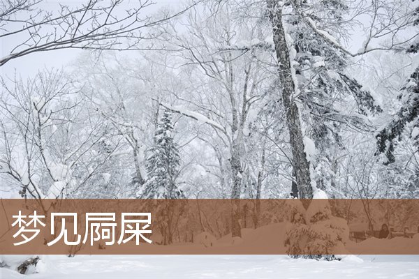 夢見屙屎_周公解夢