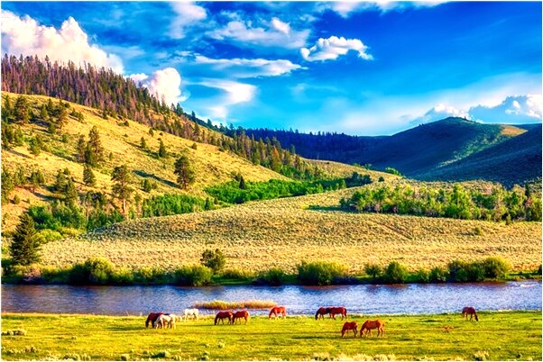 夢到穿著漂亮是什麼啟示_周公解夢官網