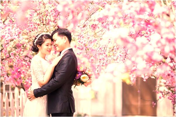 夢到了自己家的水池有龜是什麼徵兆_周公解夢官網