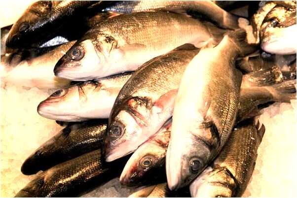 夢到與別的女人同床預示了什麼_周公解夢官網