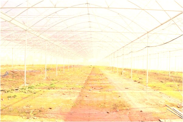 夢到在空中走啥意思_周公解夢官網