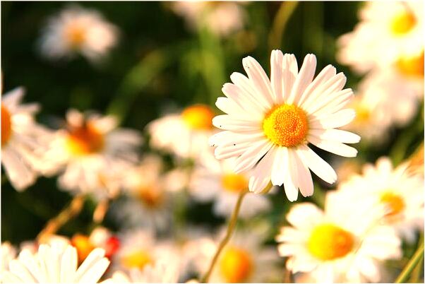 夢到人激烈地爭吵得很兇什麼寓意_周公解夢官網