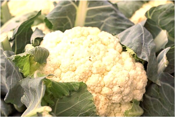 夢到毛絨兔子好不好_周公解夢官網