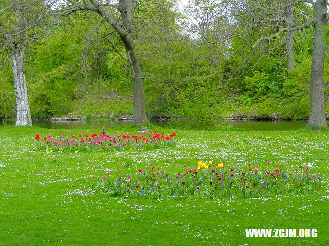 夢見當兵的_周公解夢夢到當兵的是什麼意思_做夢夢見當兵的好不好_周公解夢官網