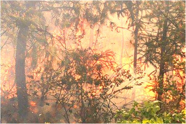 夢到了媽媽聞爸爸身上的香水味有什麼含義_周公解夢官網