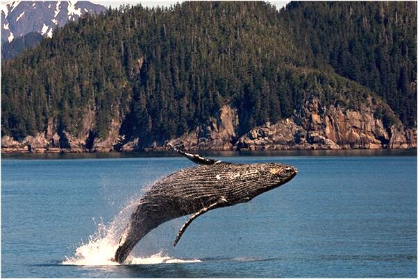 夢到了逝去的外公有什麼意思_周公解夢官網