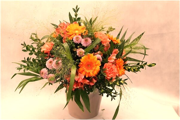 夢見彎曲的山路有什麼預示嗎_周公解夢官網