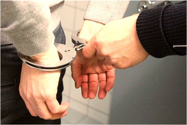 夢到了一隻羊掉到水裡了是什麼預兆？_周公解夢官網