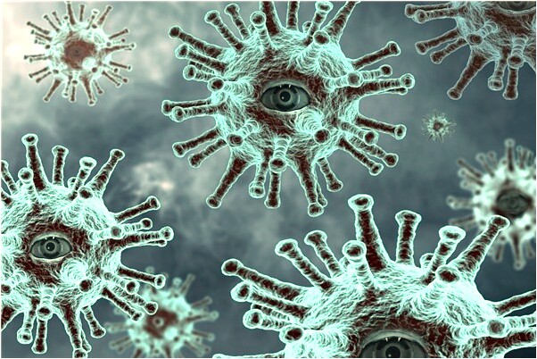 夢到了蛇吃自己又吐出來是什麼預兆_周公解夢官網