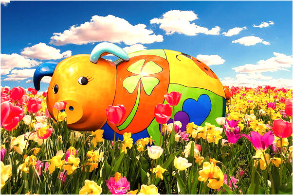 夢到鬼扎玻璃是咋回事_周公解夢官網