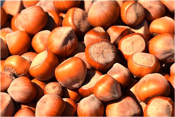 夢見自己肢解父親有什麼徵兆_周公解夢官網