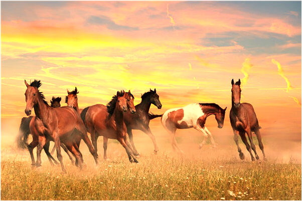 夢到了自己遺精啥意思_周公解夢官網