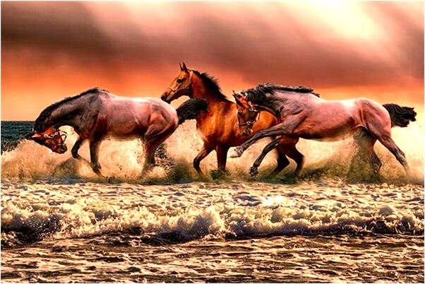 夢見懷孕大魚啥意思_周公解夢官網