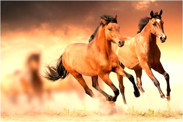 夢到了黃色水晶拖鞋有何寓意_周公解夢官網