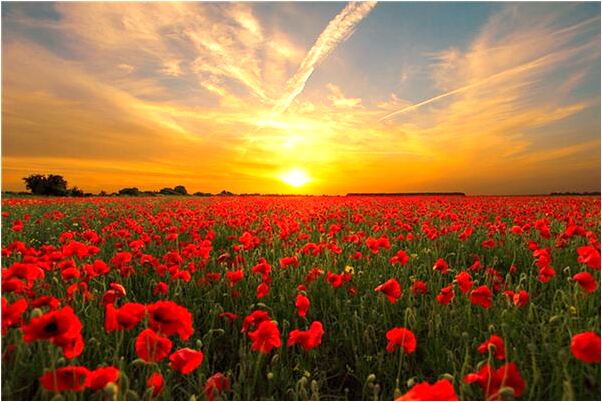 夢見避孕藥吃多了預示了什麼_周公解夢官網