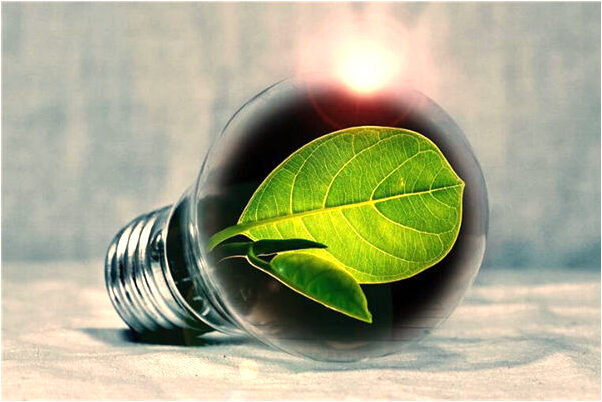 夢到房子到處都是水和糞便是凶兆還是吉兆_周公解夢官網