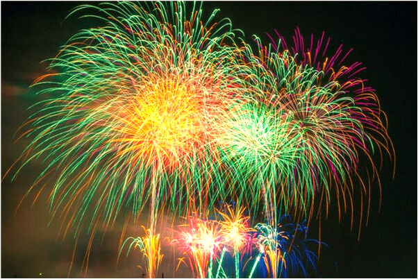 夢到了買了很好小雞全死了是凶兆還是吉兆_周公解夢官網