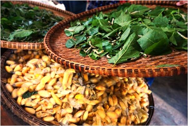 夢見在幫別新涼鞋上做珠是咋回事_周公解夢官網