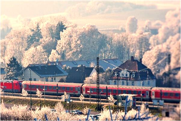 夢到我打死了三隻老鼠意味什麼_周公解夢官網
