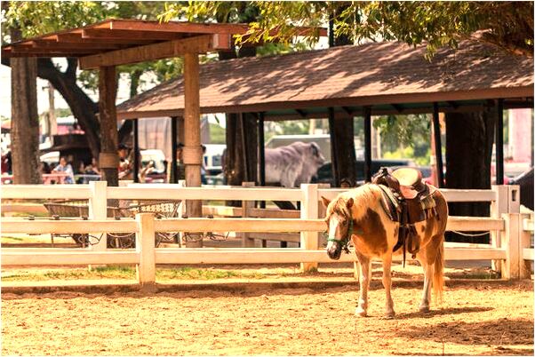 夢到男孩自己有個女兒是什麼徵兆_周公解夢官網