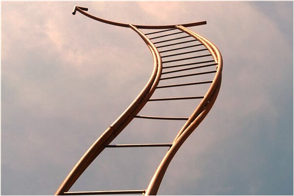 夢到了樹根朝上有什麼意義嗎_周公解夢官網