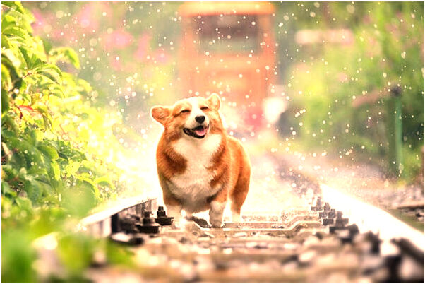 夢到被死去的人看著是好事還是壞事_周公解夢官網