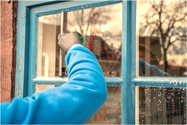 夢到捉住三隻野生老甲魚什麼寓意_周公解夢官網